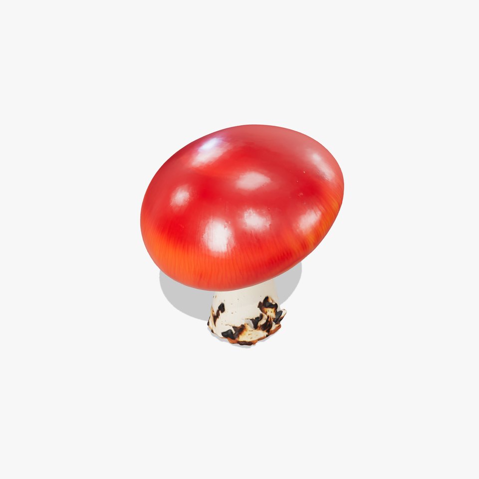 Bold Red-Cap Mushroom 3D Model Pack